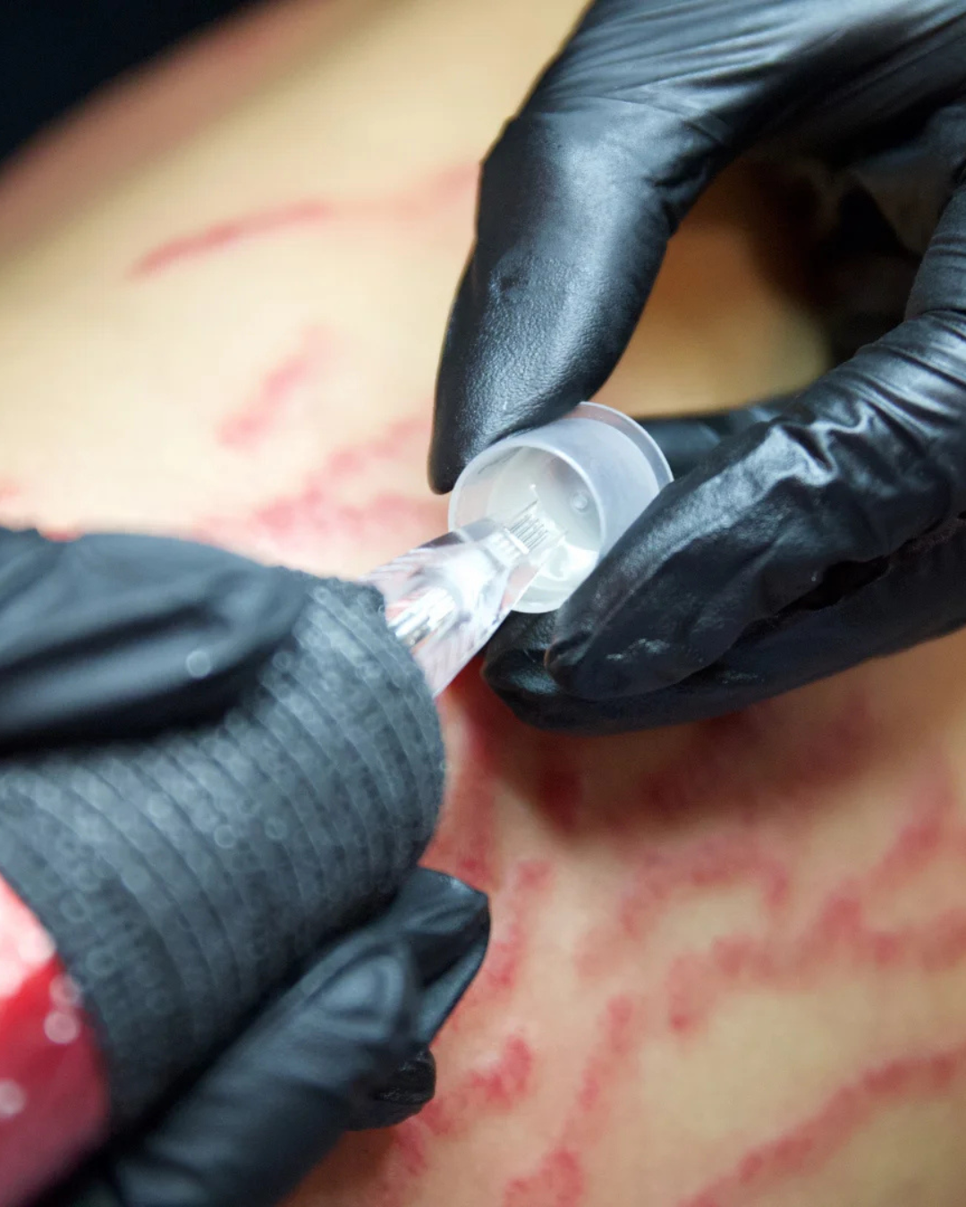 temp-sib untitled design(383)